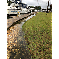 King tide Hampton Virginia image